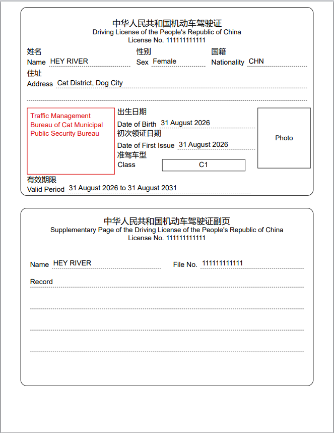 不含真实个人信息的中国驾驶证英文翻译排版示例